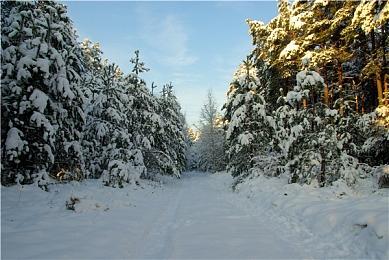 Switch 2首日补丁开始推送 可游玩1代Switch游戏了