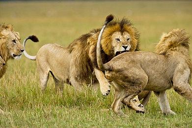 怀旧的味道！还记得2010年的Steam什么样吗