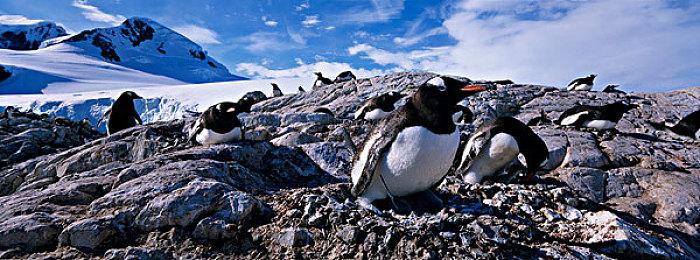 《太空房地产》今夏发售 登陆Steam抢先体验